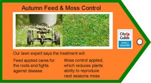 autumn feed and moss control diagram