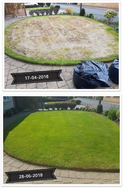 lawn renovation