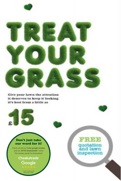 Treat Your Grass