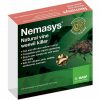 Nemasys Vine Weevil Killer