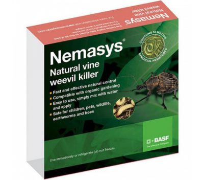 Nemasys Vine Weevil Killer