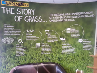 the story of grass poster