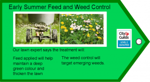 Early Summer Feed and Weed Control badge