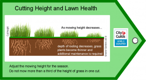 Autumn lawn cutting heights diagram