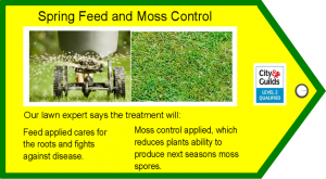 Spring Lawn Feed and Moss Control