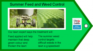 Summer Feed and Weed diagram