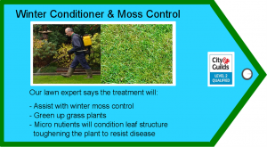 winter conditioner and moss control diagram