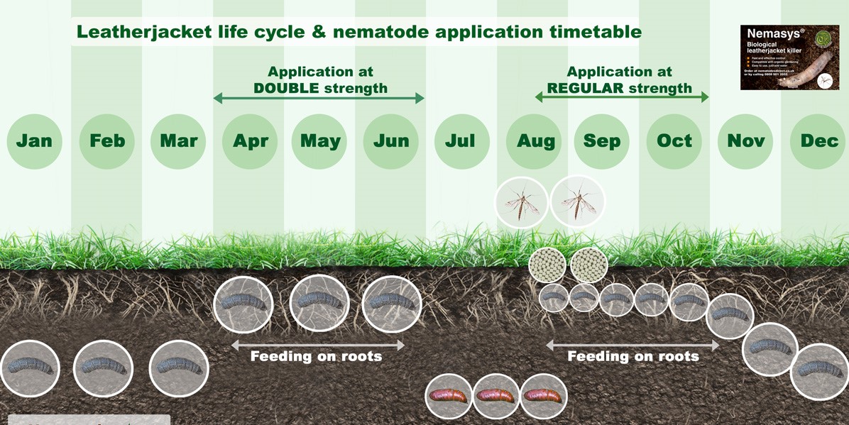 leather Jacket Life Cycle