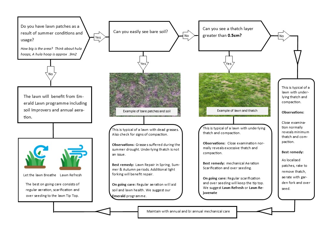 An easy to follow guide for evaluating the best lawn repair process